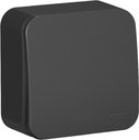 Schneider Electric Blanca BLNVA101016 Выключатель одноклавишный с изолирующей пластиной (10 А, в сборе, открытая установка, антрацит)