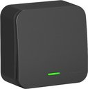 Schneider Electric Blanca BLNVA101116 Выключатель одноклавишный с подсветкой и изолирующей пластиной (10 А, в сборе, открытая установка, антрацит)