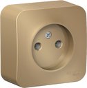 Schneider Electric Blanca BLNRA000104 Розетка одинарная (16 А, в сборе, открытая установка, титан)