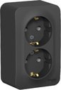 Schneider Electric Blanca BLNRA010206 Розетка двойная с заземляющим контактом (16 А, в сборе, открытая установка, антрацит)