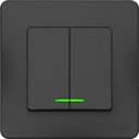Schneider Electric Blanca BLNVS010516 Выключатель двухклавишный (10 А, в сборе, подсветка, скрытая установка, антрацит)