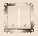 ABB Cosmo 619-011400-257 Выключатель двухклавишный (10 А, индикация, под рамку, скрытая установка, титан)
