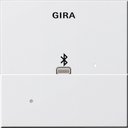Gira System55 228703 Накладка Apple Lightning для вставки док-станции (белая глянцевая)