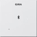 Gira System55 228803 Накладка для док-станции (белая глянцевая)