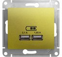 Schneider Electric Glossa GSL001033 Розетка USB (2xUSB, под рамку, скрытая установка, фисташковая)