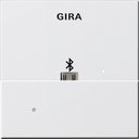 Gira System55 228503 Накладка USB-микро-B для вставки док-станции (белая глянцевая)