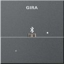 Gira System55 228528 Накладка USB-микро-B для вставки док-станции (антрацит)