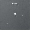 Gira System55 228828 Накладка для док-станции (антрацит)
