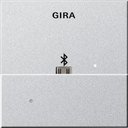 Gira System55 228526 Накладка USB-микро-B для вставки док-станции (алюминий)